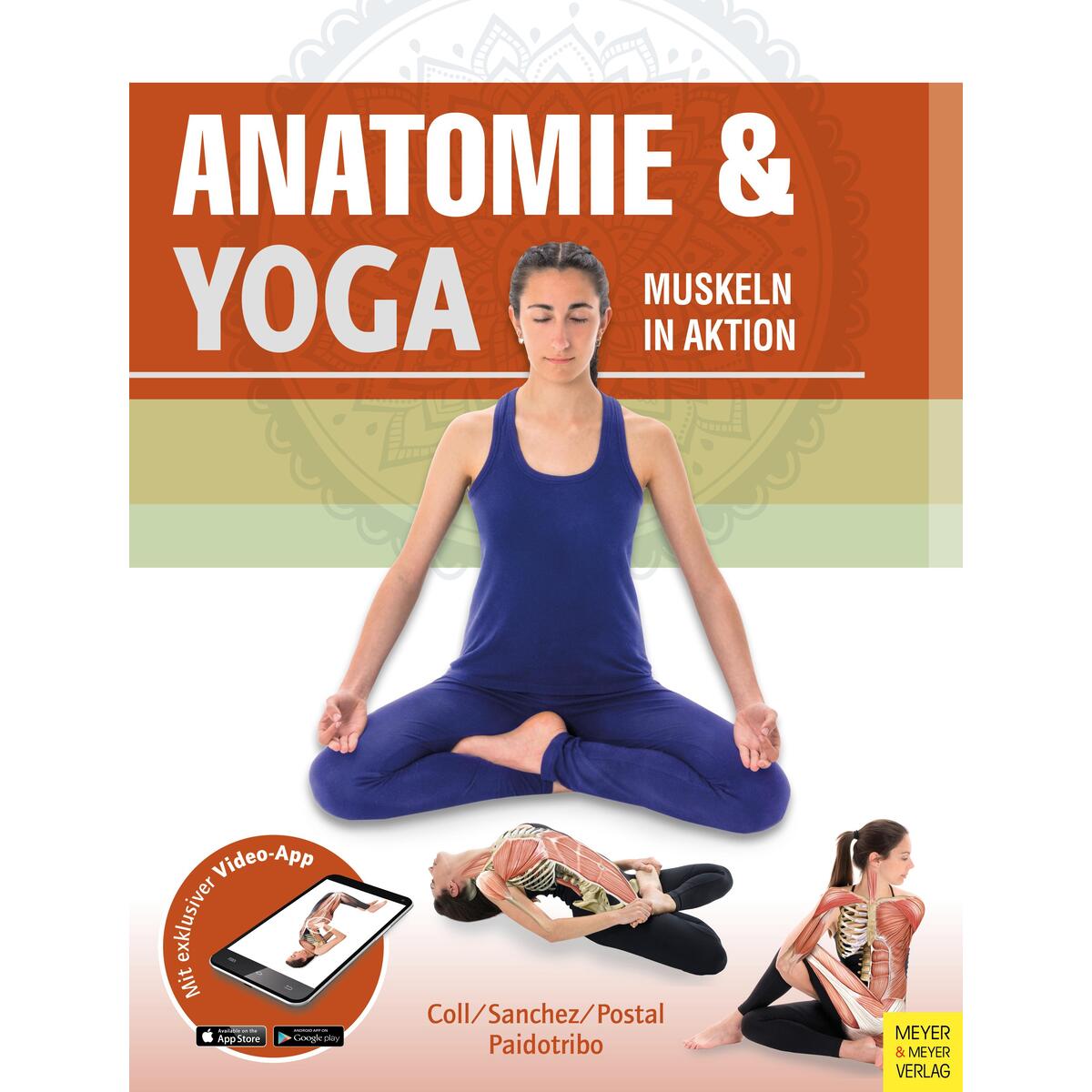 Anatomie & Yoga von Meyer + Meyer Fachverlag
